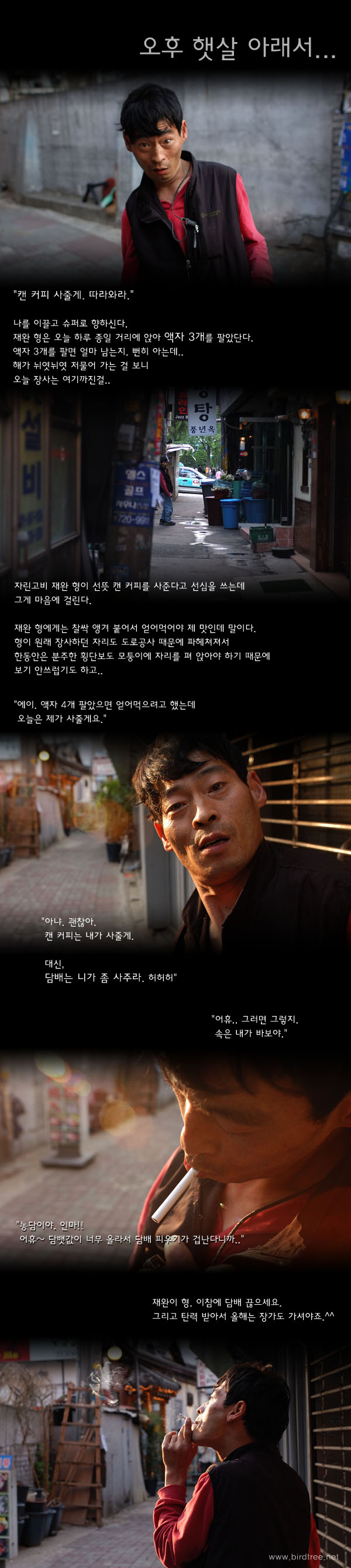 오후 햇살 아래서..
