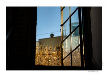 죄에서 자신을 지키기 위해