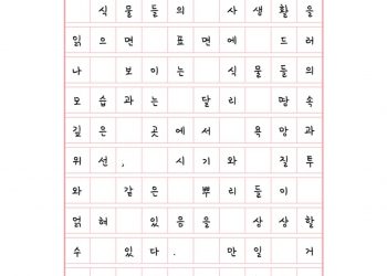 내 이름을 부르며 빛 비추면