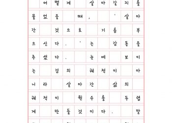 검이 아니라 삶의 궤적