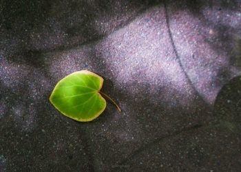 결국 너는 마음이 없는거야