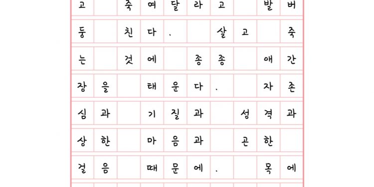 길을 비춘다