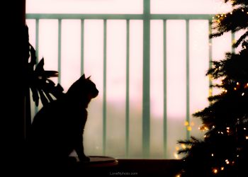 나를 바꿀 수 있을 것인가?