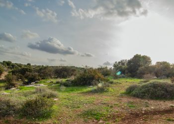 가장 기억에 남는 나라는?