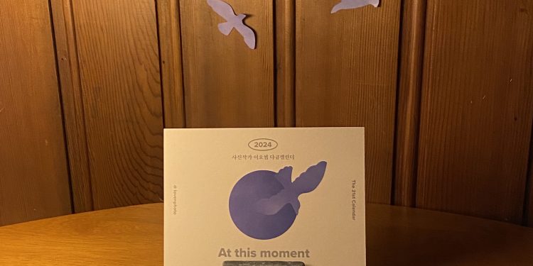 2024 다큐캘린더 조기종료