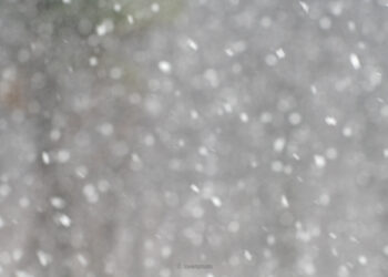 힘든 시간을 보내게 될거야