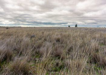 잘한 것은 잘한대로, 못한 것은 못한대로
