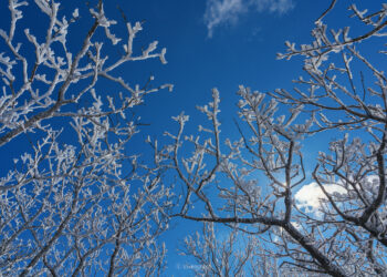 오늘의 숨을 쉽니다