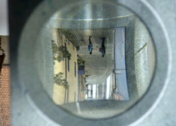 벌써 22년째라닛