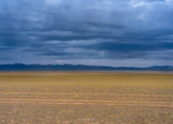 가만히 있는 게 옳아요?