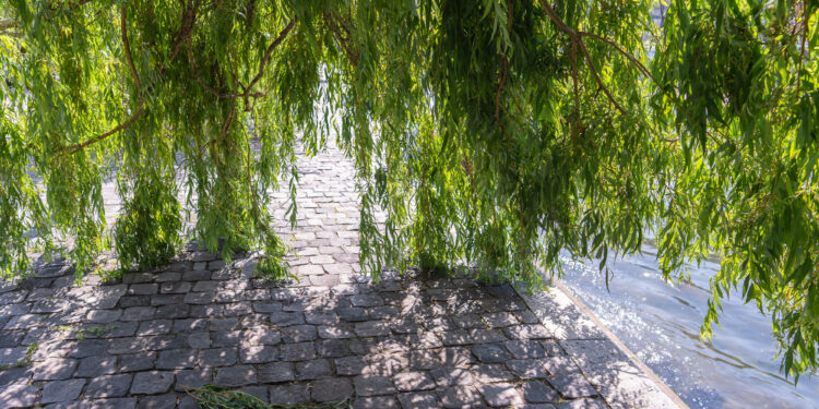 모순의 시대, 어떻게 살아야 할까요?