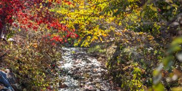 몸을 이루는 시간