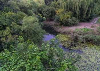 길이 보이지 않을 때