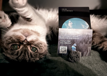 성탄 프로젝트와 나눔