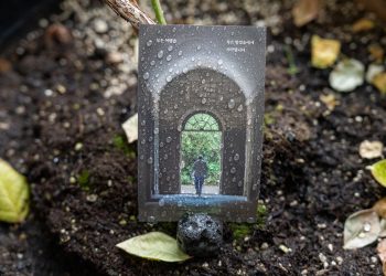 The Door Calendar 출시