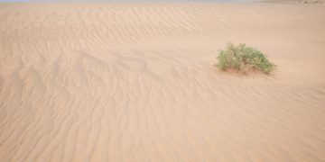 꼭 해야 할 일과 꼭 기억해야 할 일